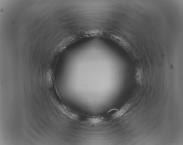 X0000070390662200606231739