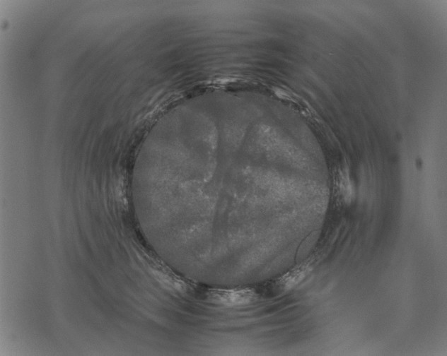 X0000070390663200606231739