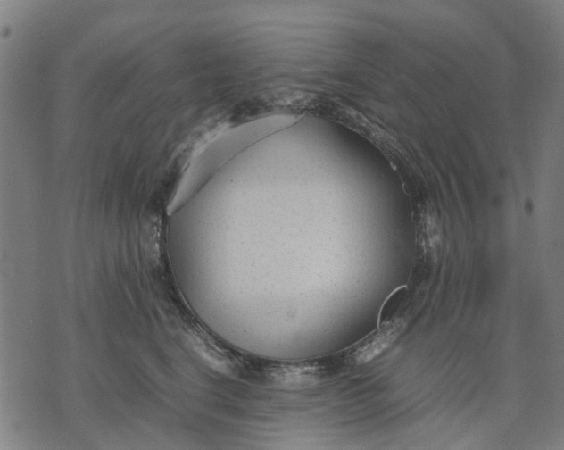 X0000070390664200606231739