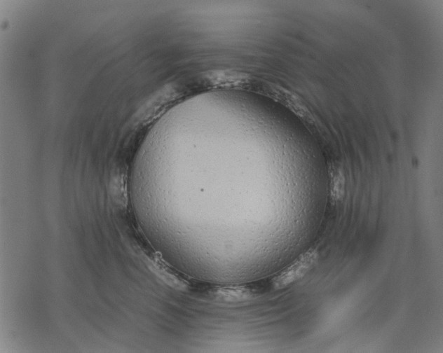 X0000070390666200606231739