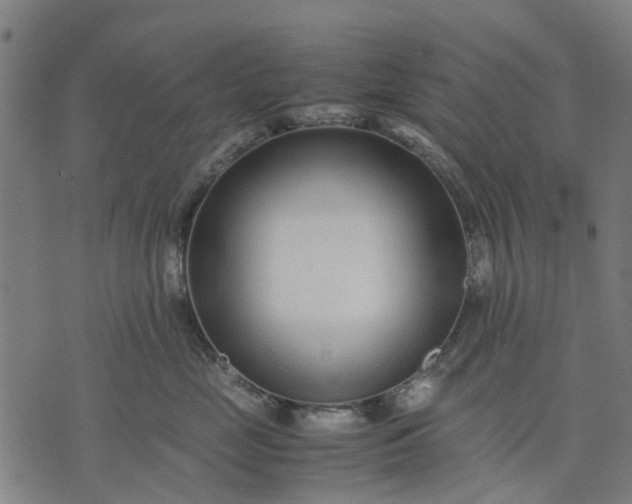 X0000070390669200606231739