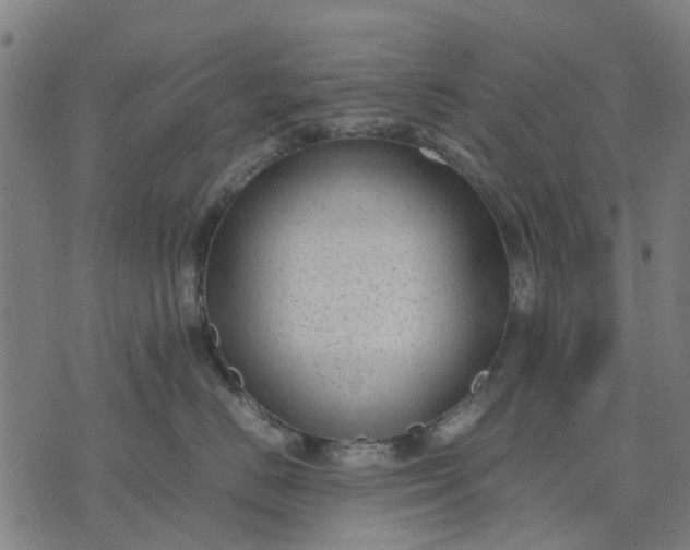 X0000070390670200606231739