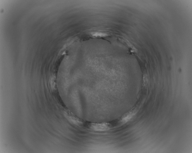 X0000070390671200606231739