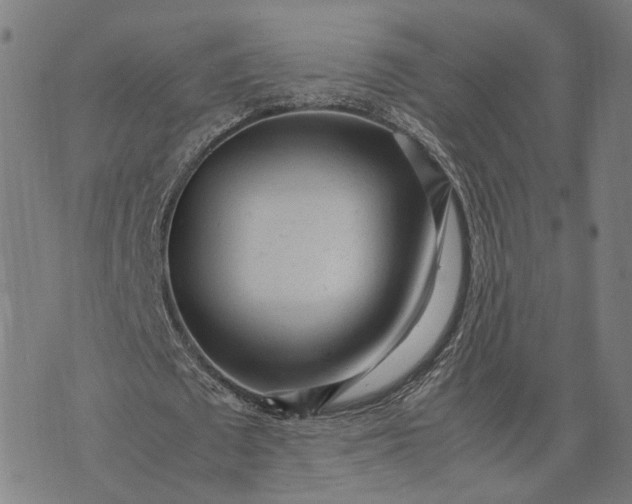 X0000070390673200606231738