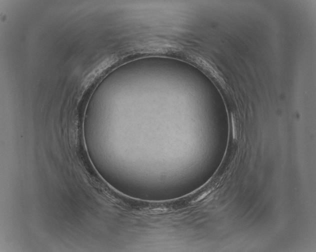 X0000070390675200606231738