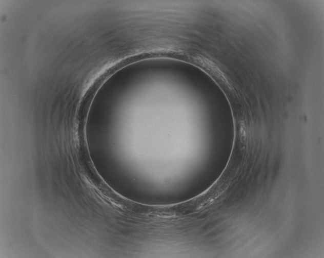 X0000070390676200606231738