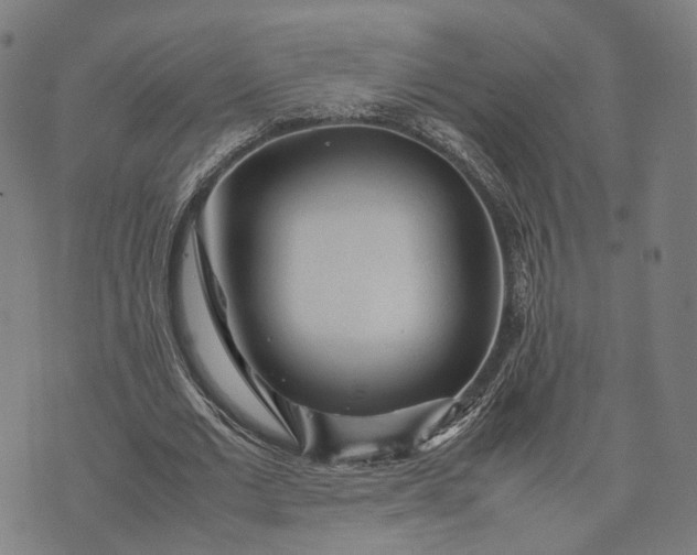 X0000070390677200606231738