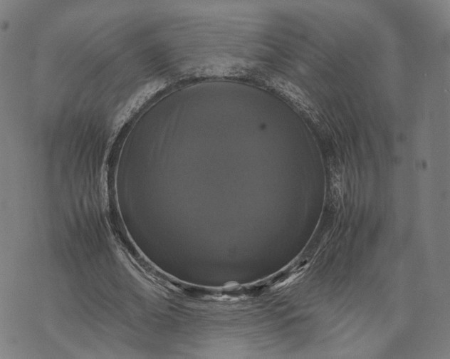 X0000070390678200606231738