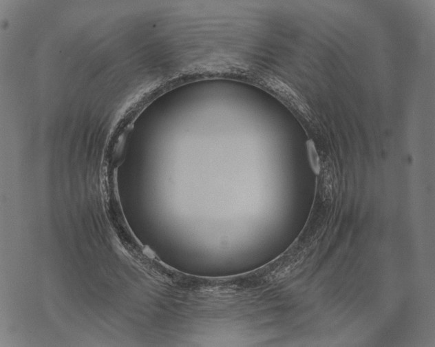 X0000070390680200606231738