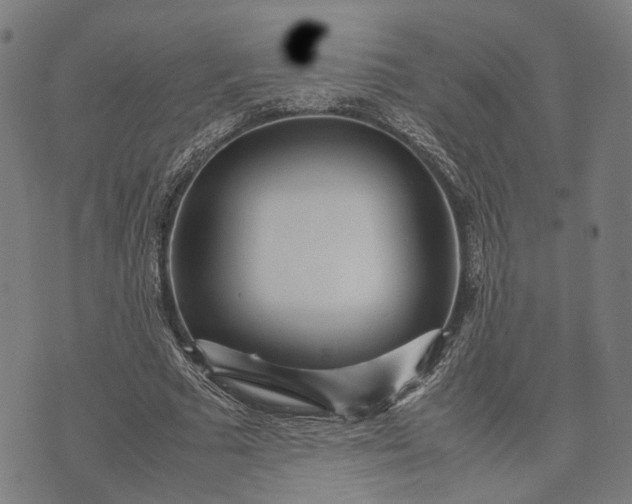 X0000070390681200606231738