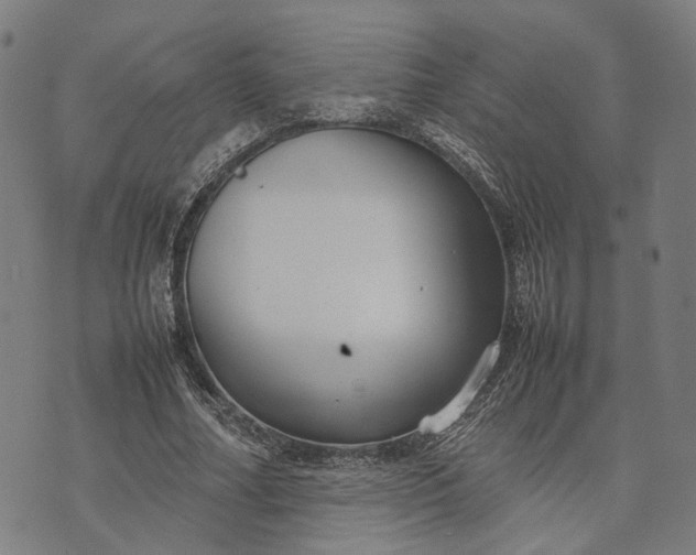 X0000070390682200606231738