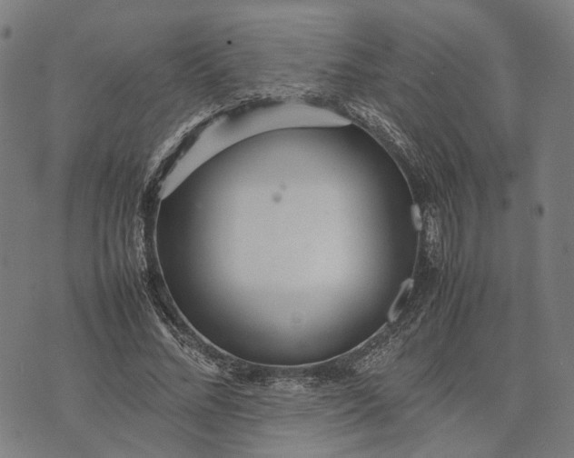 X0000070390684200606231738