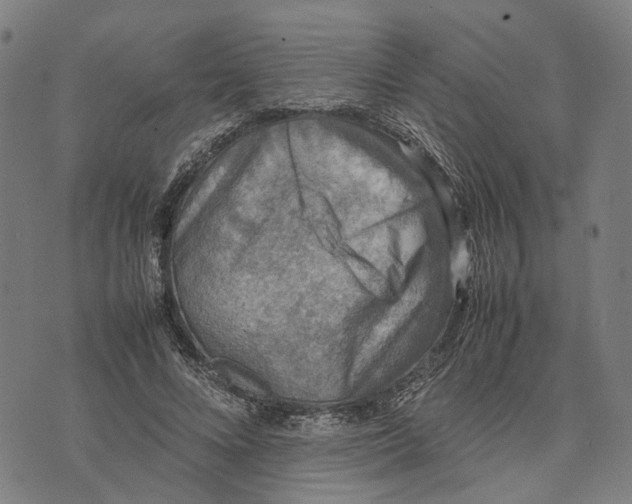 X0000070390688200606231738