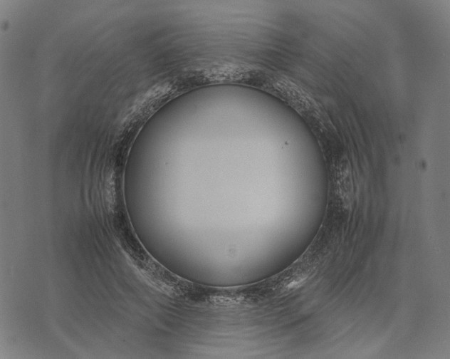 X0000070390690200606231738