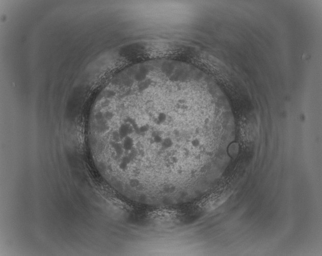 X0000070390691200606231738