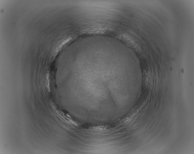 X0000070390692200606231738