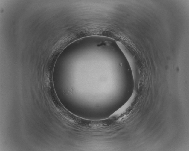 X0000070390693200606231738