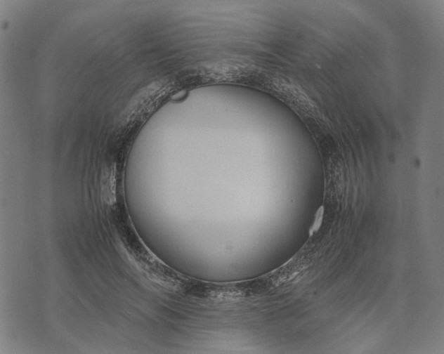 X0000070390694200606231738