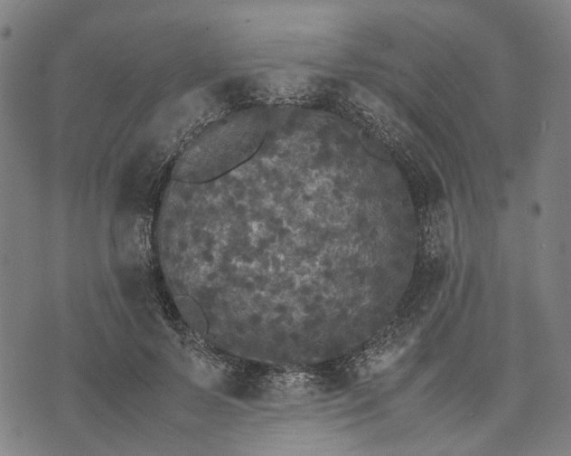 X0000070390695200606231738