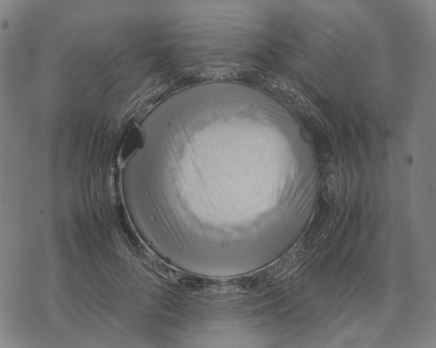 X0000070390696200606231738