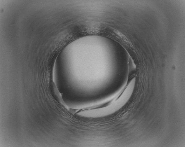 X0000070390697200606231738