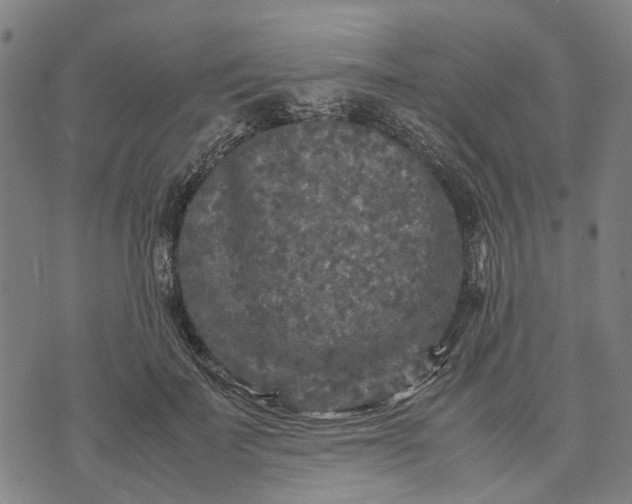 X0000070390699200606231738