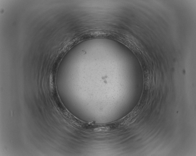 X0000070390700200606231738