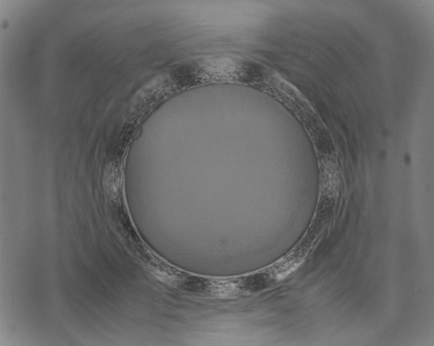 X0000070390701200606231738