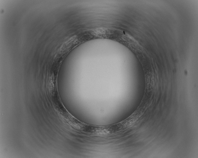 X0000070390702200606231738