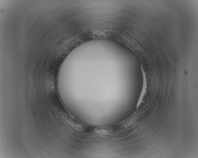 X0000070390706200606231737