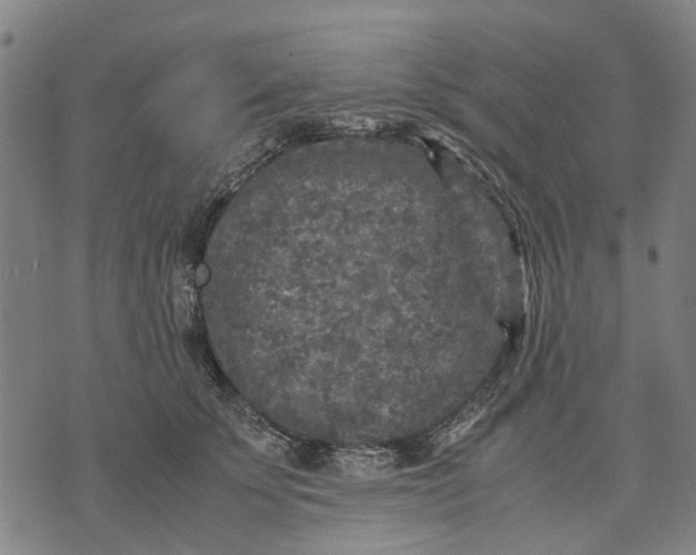 X0000070390707200606231737