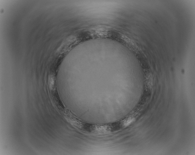 X0000070390709200606231737