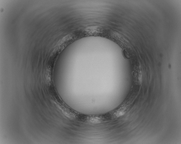 X0000070390710200606231737