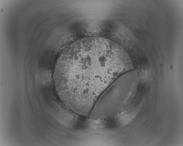 X0000070390711200606231737