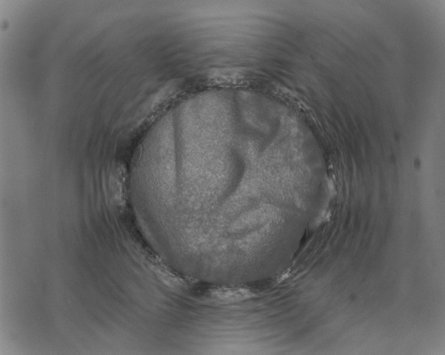 X0000070390712200606231737