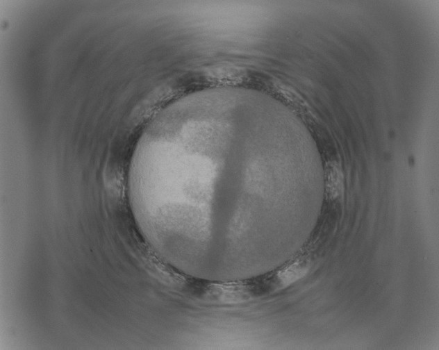 X0000070390713200606231737