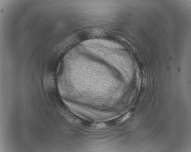 X0000070390715200606231737