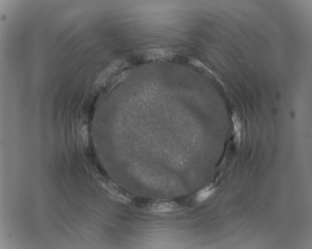 X0000070390716200606231737