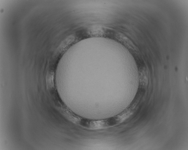 X0000070390717200606231737