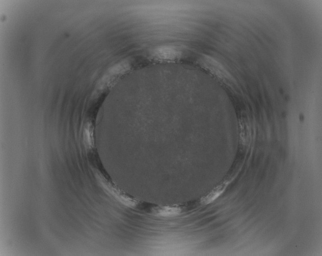 X0000070390718200606231737