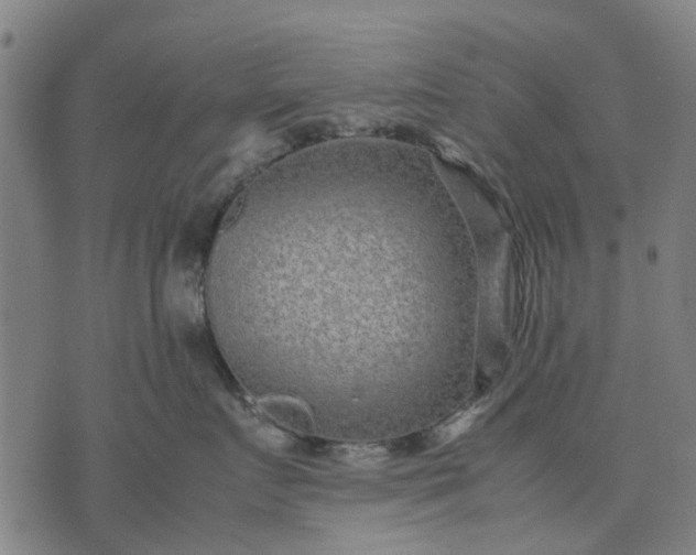 X0000070390719200606231737