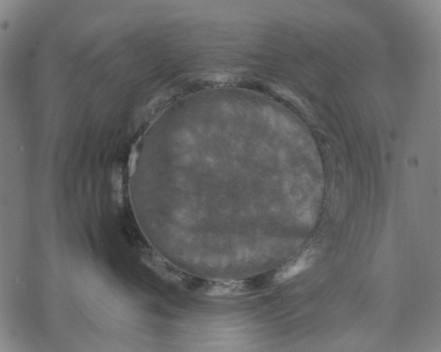 X0000070390720200606231737