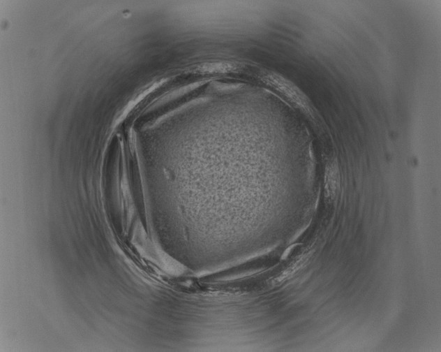 X0000070390722200606231737