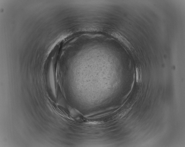 X0000070390723200606231737