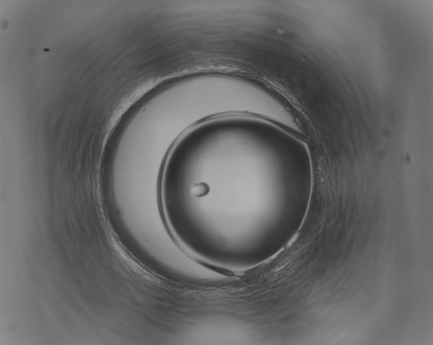 X0000070390726200606231737