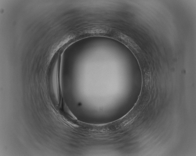 X0000070390727200606231737