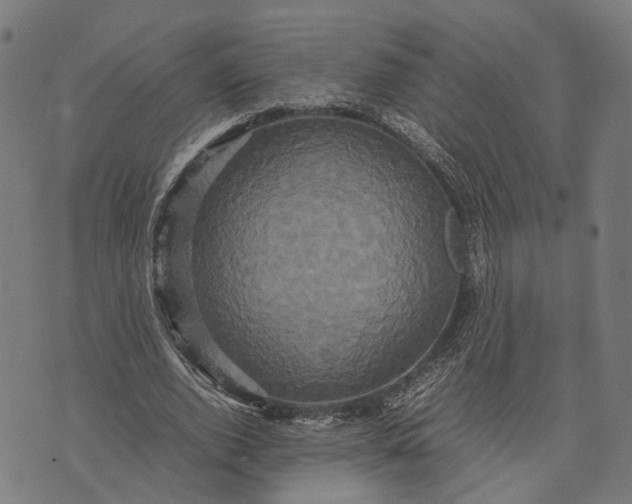 X0000070390728200606231737