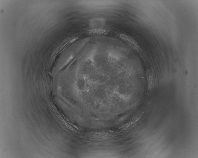 X0000070390729200606231737