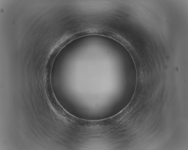 X0000070390730200606231737