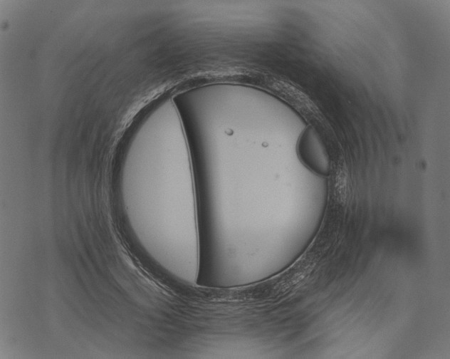 X0000070390732200606231737